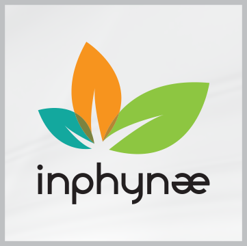 Solutions Q.H.S.E. - Inphynae Logo
