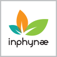 Inphynae